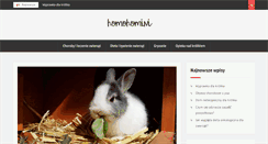 Desktop Screenshot of homohomini.com.pl