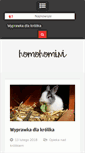 Mobile Screenshot of homohomini.com.pl