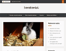 Tablet Screenshot of homohomini.com.pl